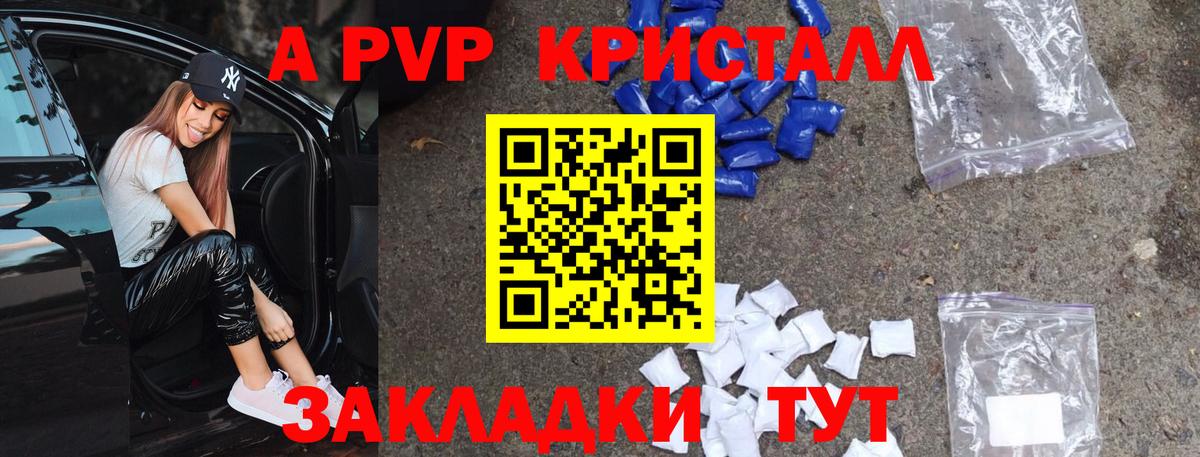 A PVP СК КРИС Владикавказ