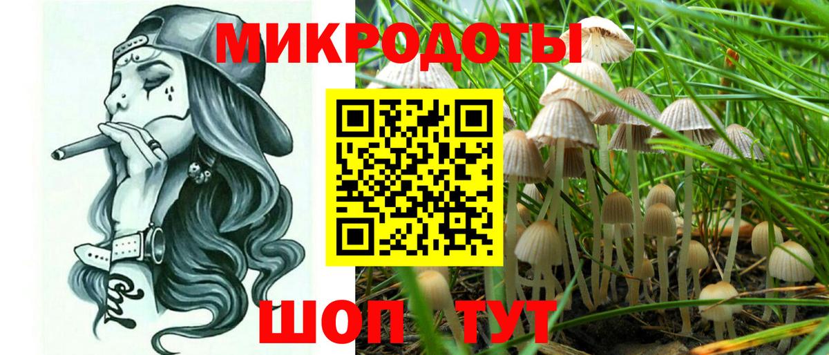 Владикавказ  Галлюциногенные грибы Cubensis  Вход с VPN 