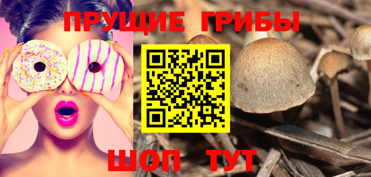 Галлюциногенные грибы прущие грибы Владикавказ